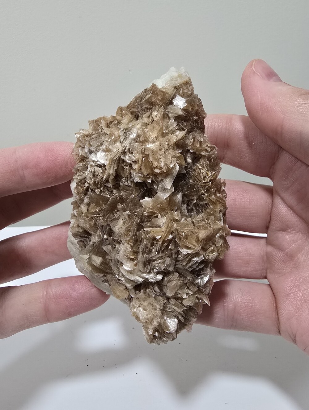 Golden Star Mica On Albite Crystal Cluster